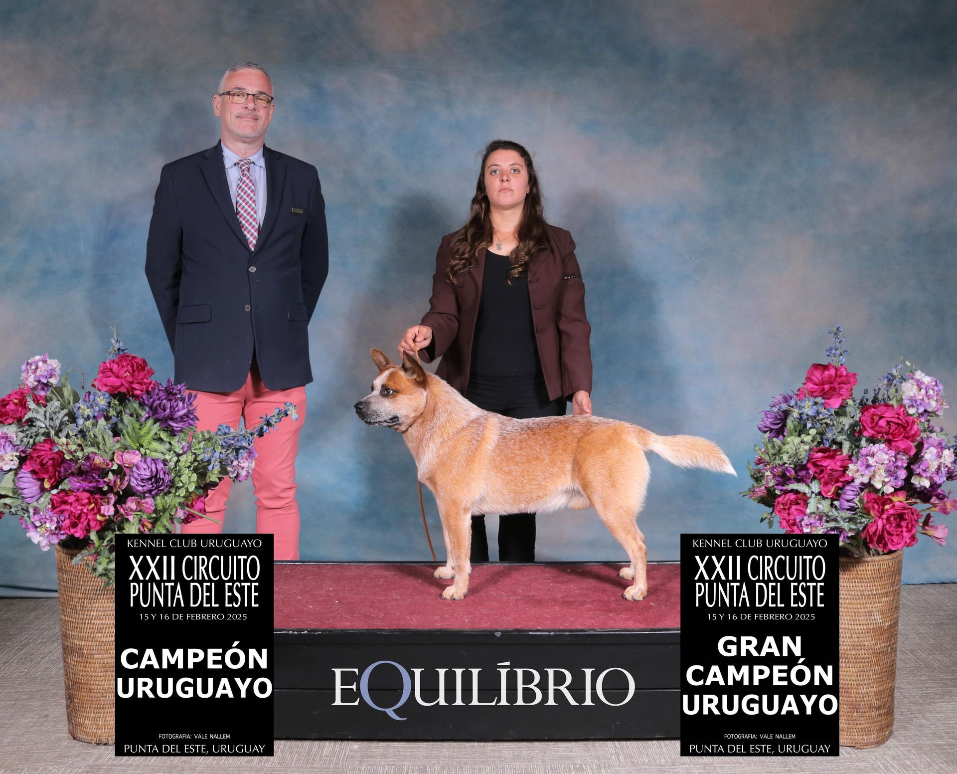 Campeón y gran campeón uruguayo Punta del Este
