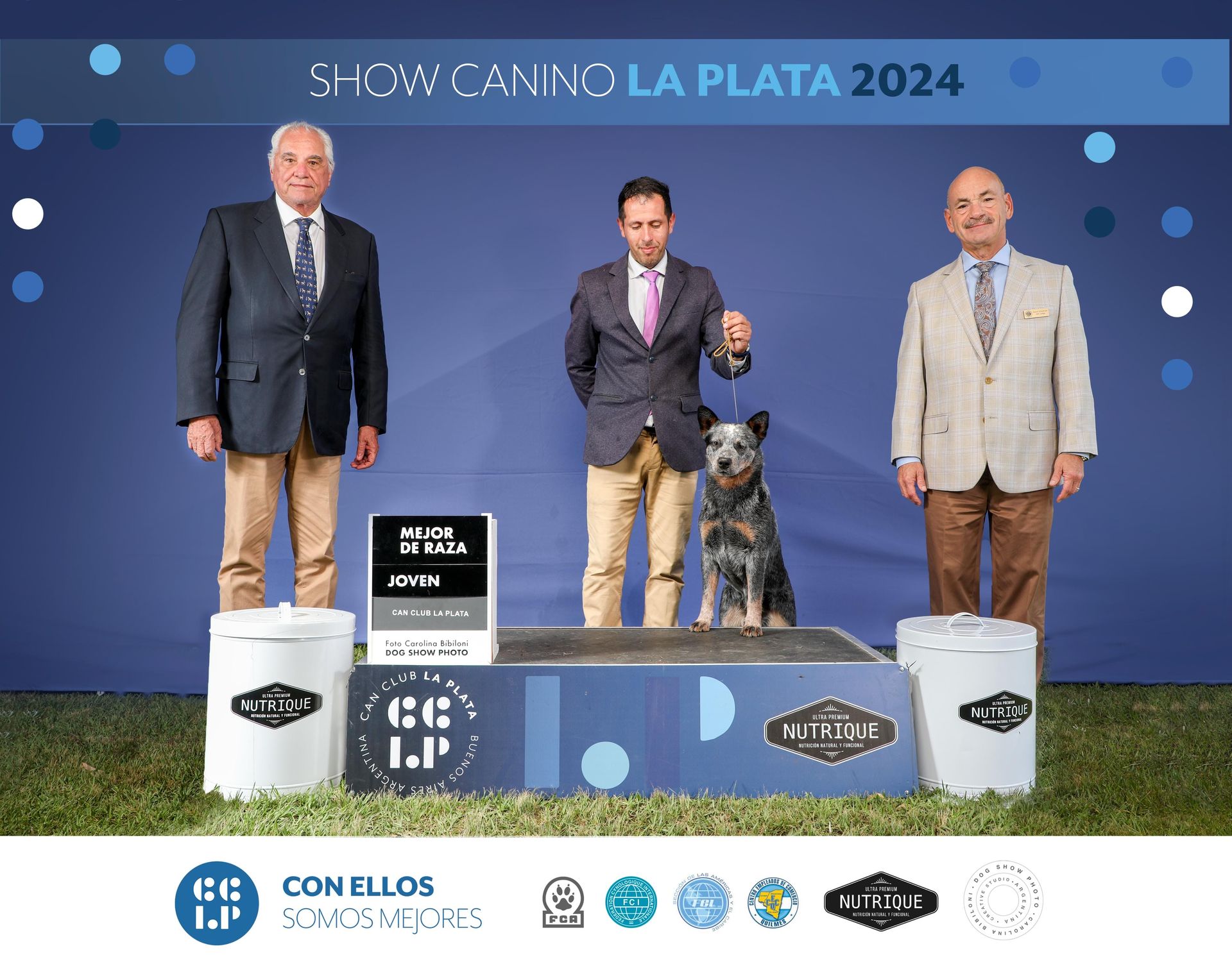 Mejor de raza joven show canino La Plata 2024