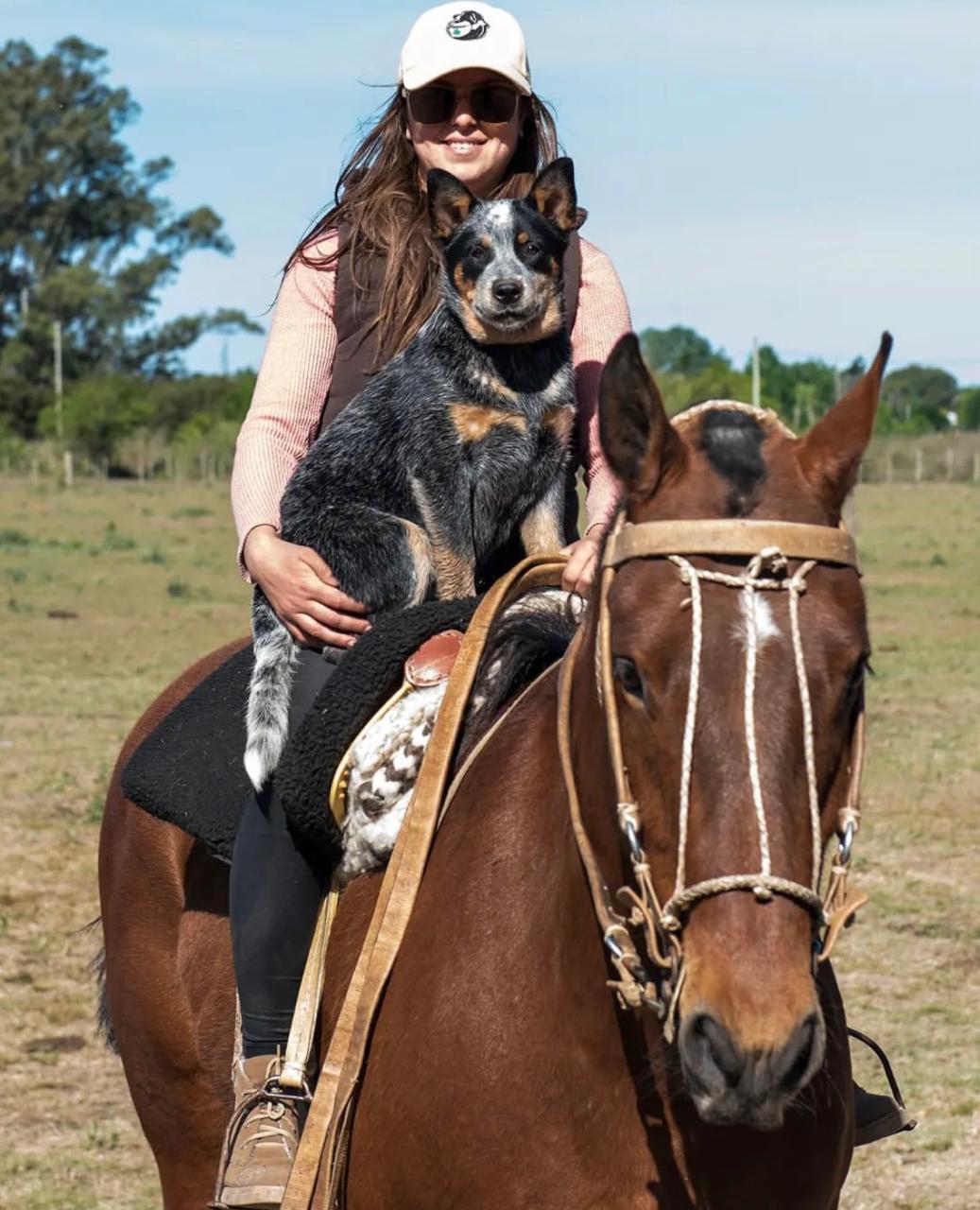 Bayauca de los Troperos