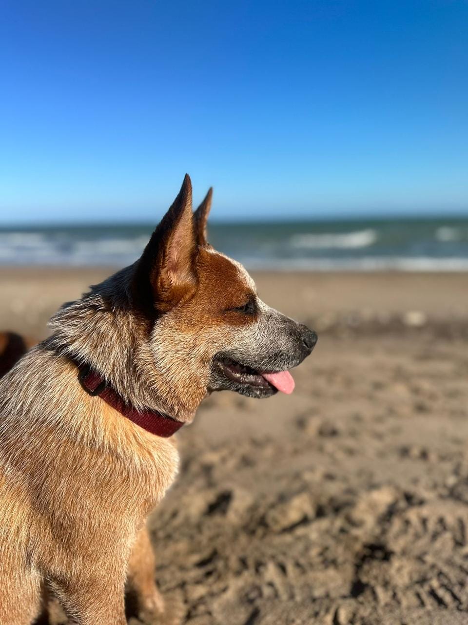 Escándalo de los Troperos