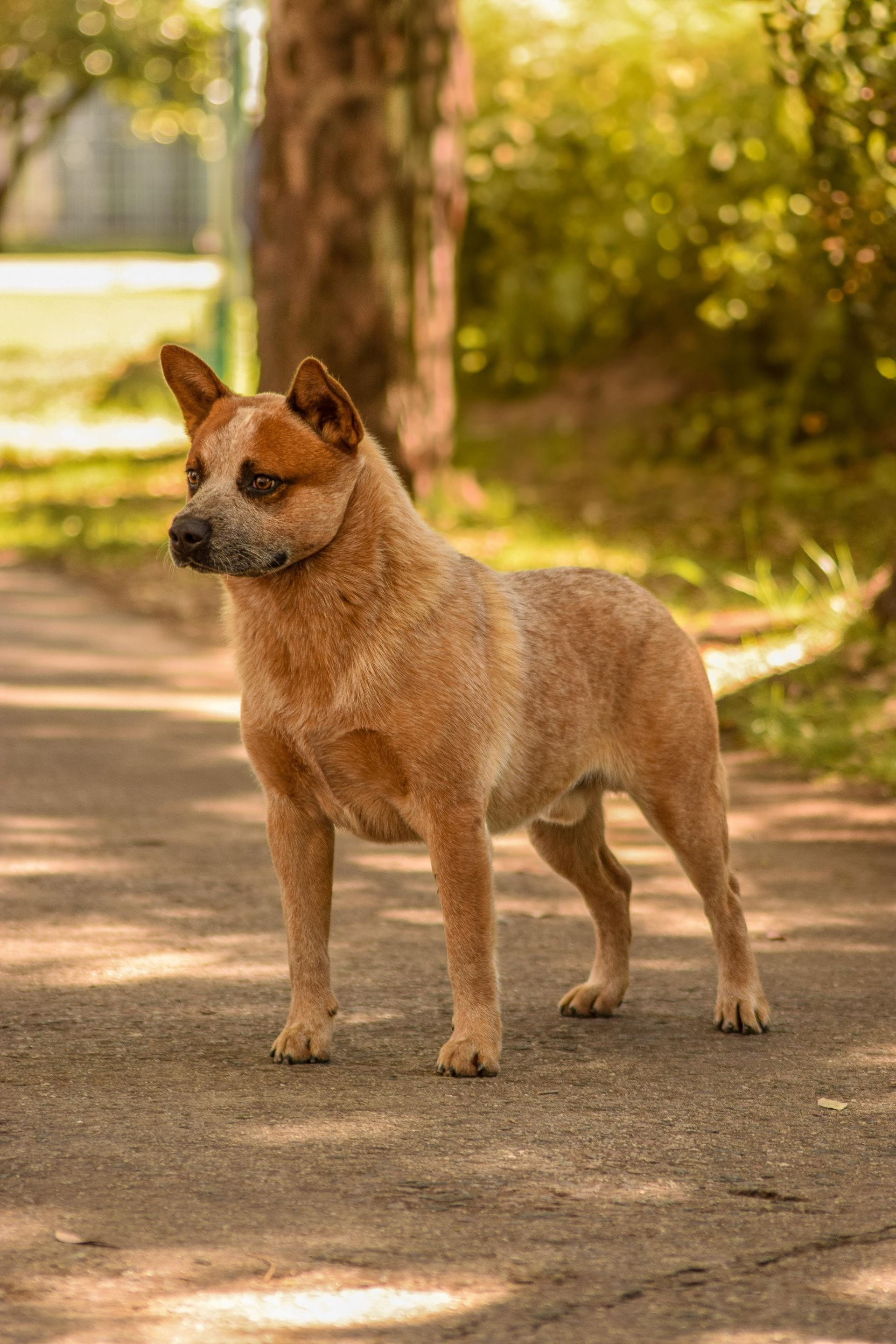 Escándalo de los Troperos