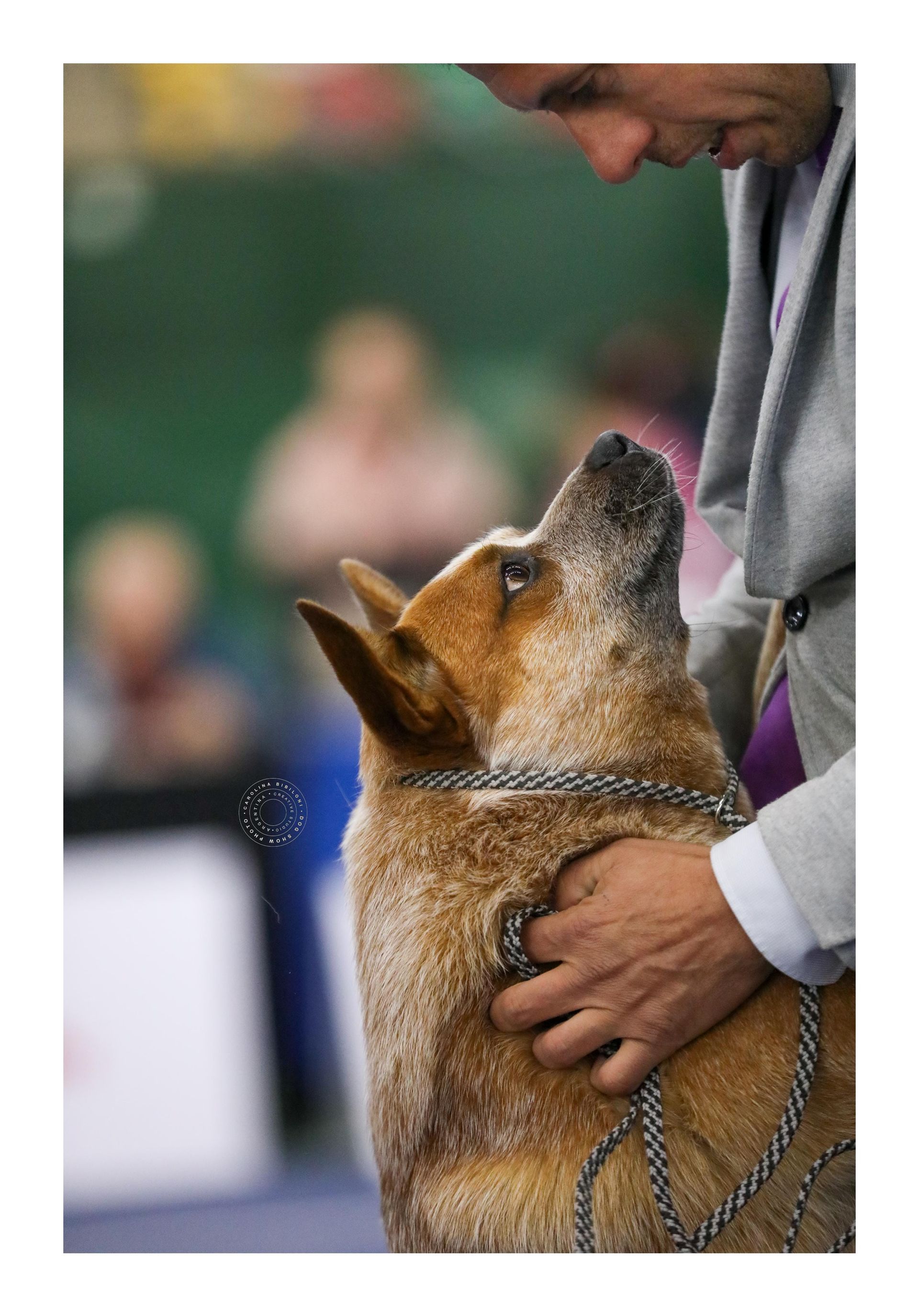Escándalo de los Troperos