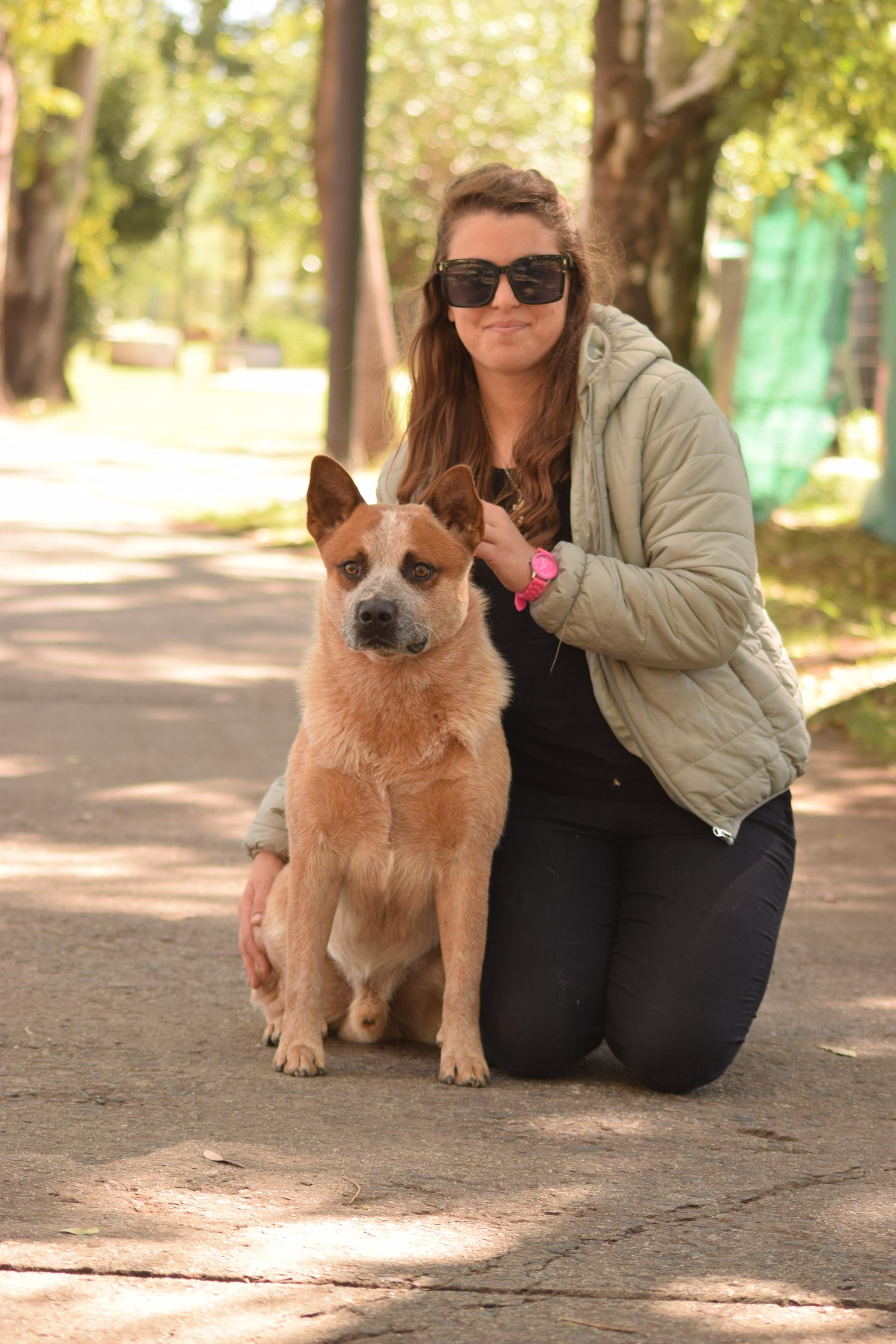 Escándalo de los Troperos