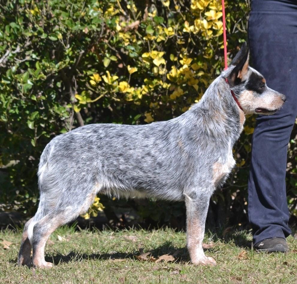 A Moment of Luck “Mangangá”