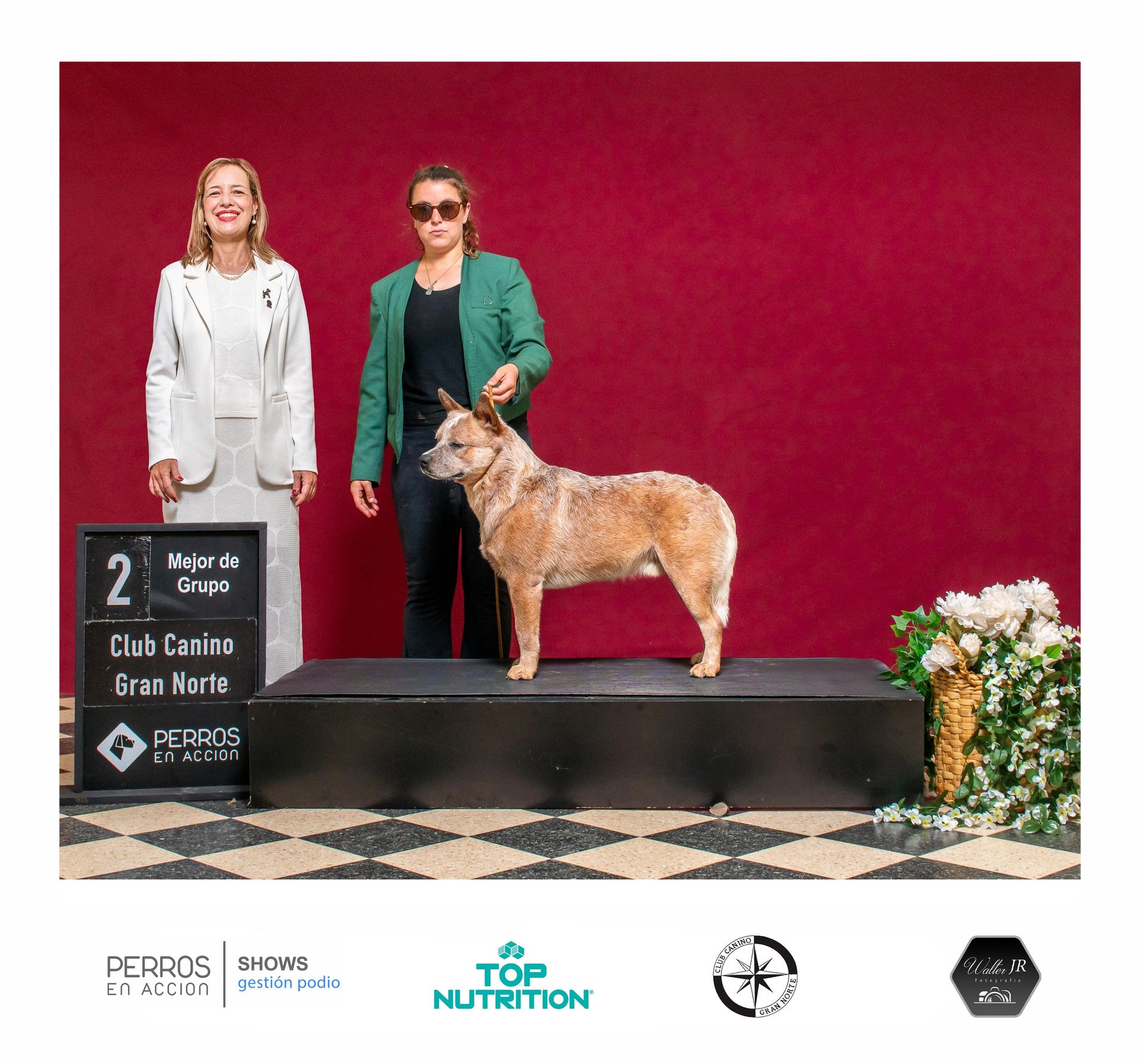 A Moment of Luck “Mangangá”