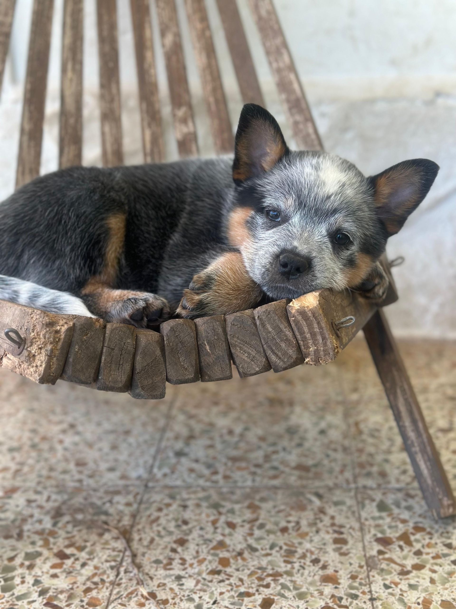 Taura de los Troperos