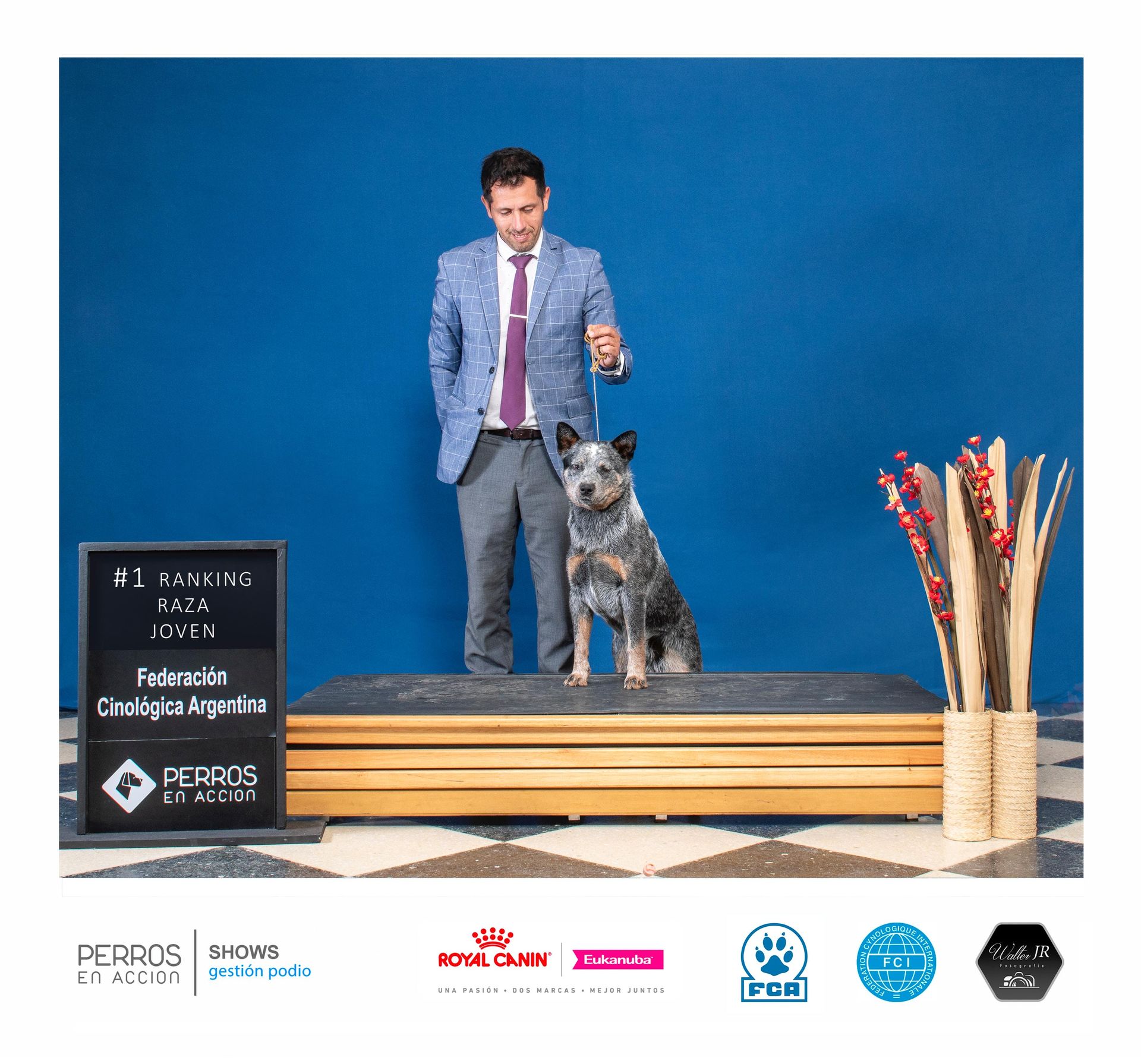 1ro Raza Joven FCA Sentado