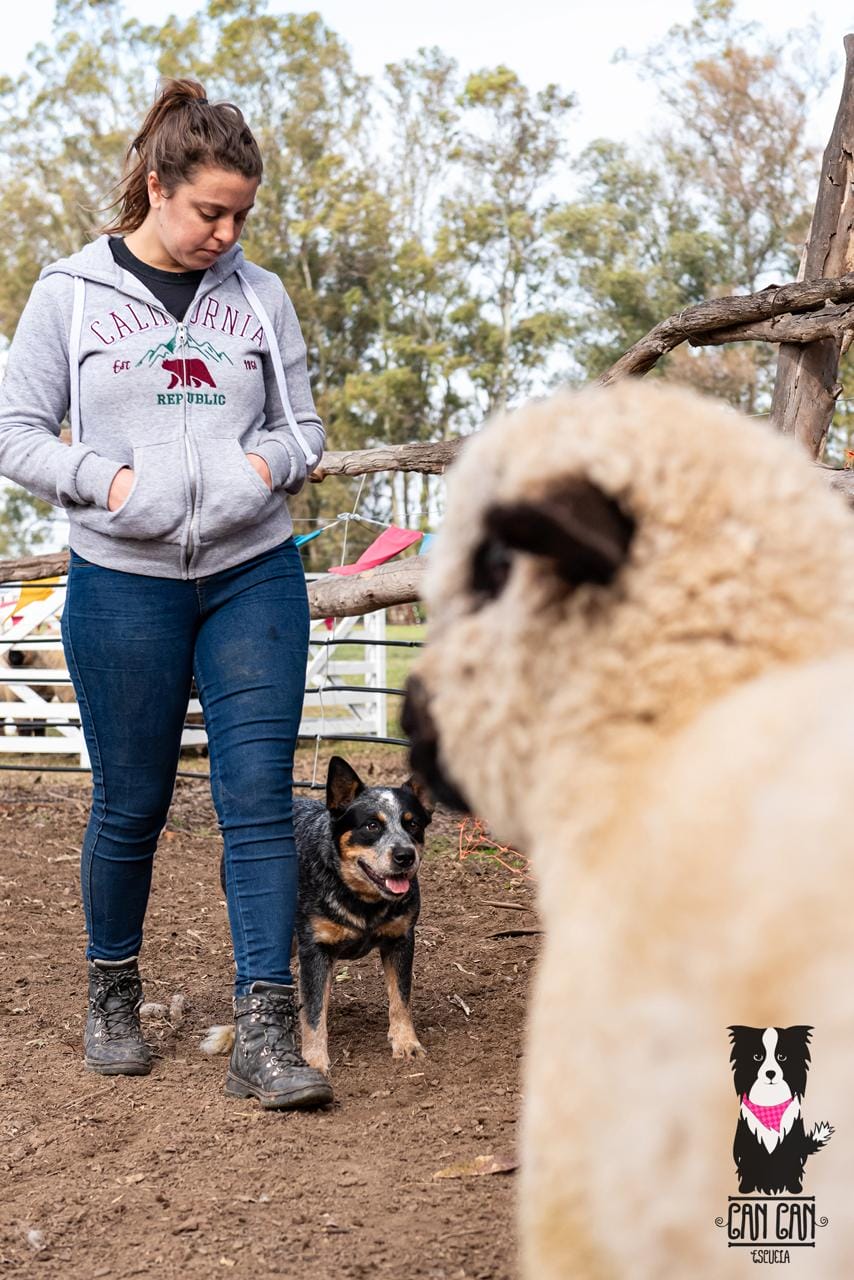 Escándalo prueba de granja 07