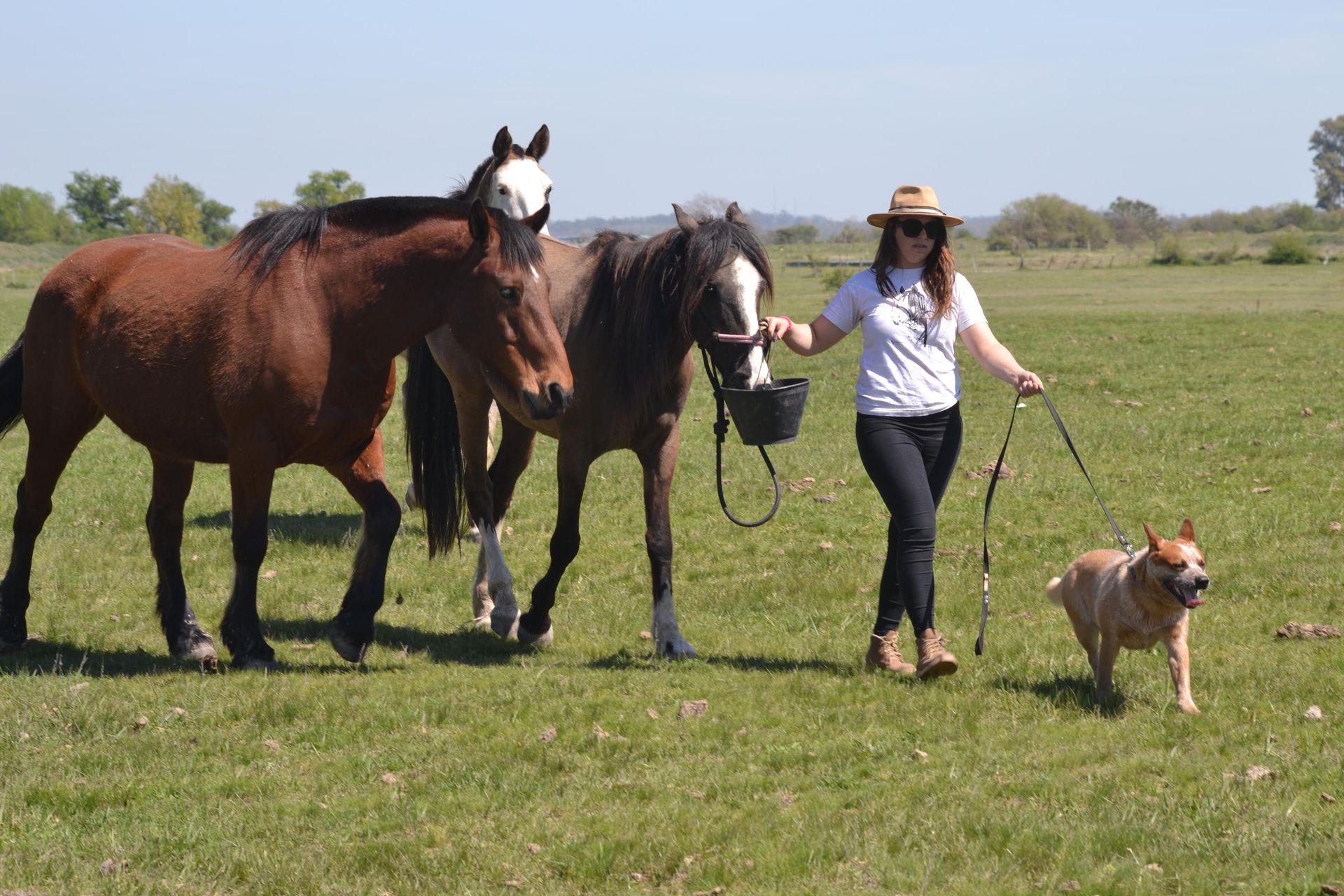 Escándalo prueba de granja 10