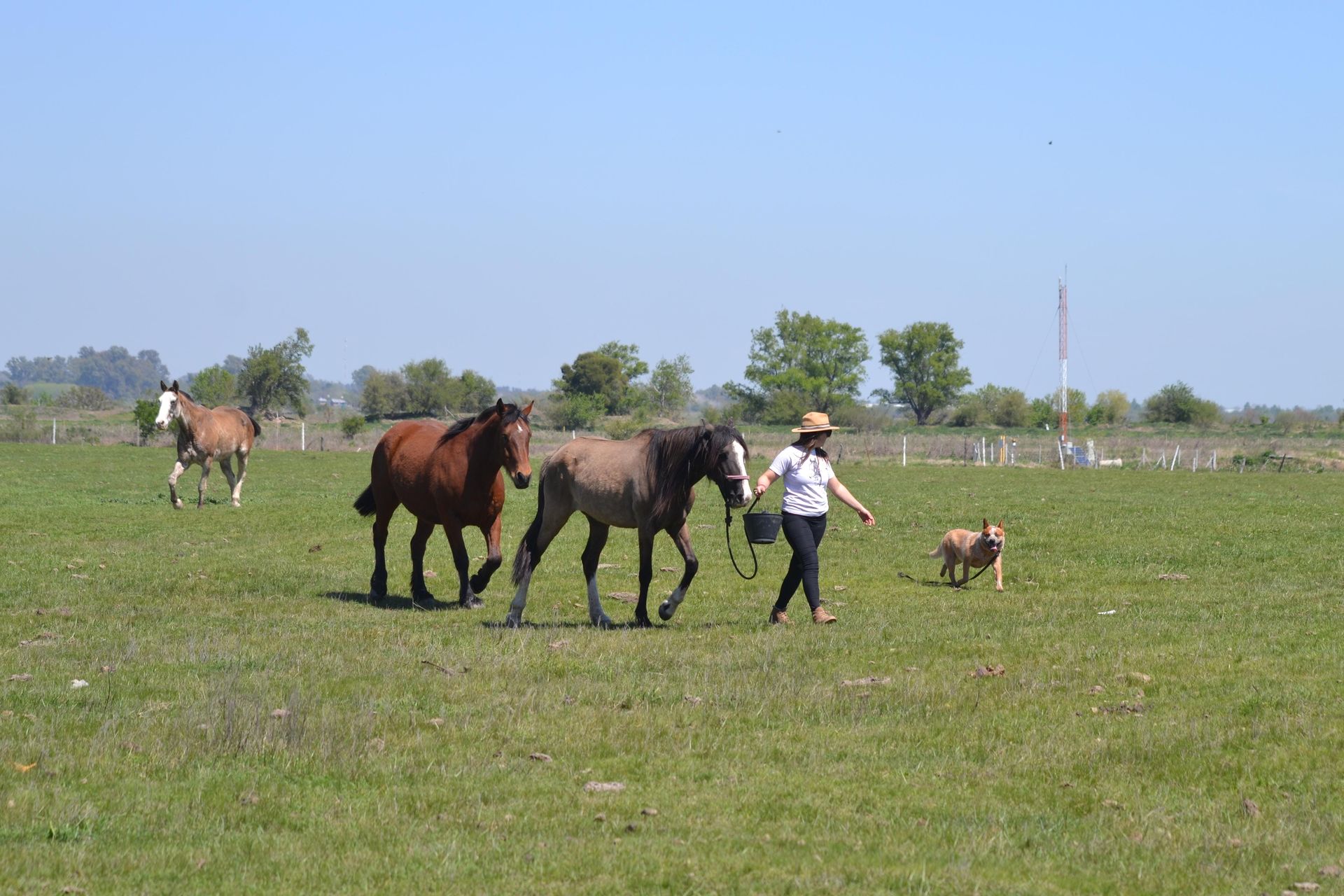 Escándalo prueba de granja 11