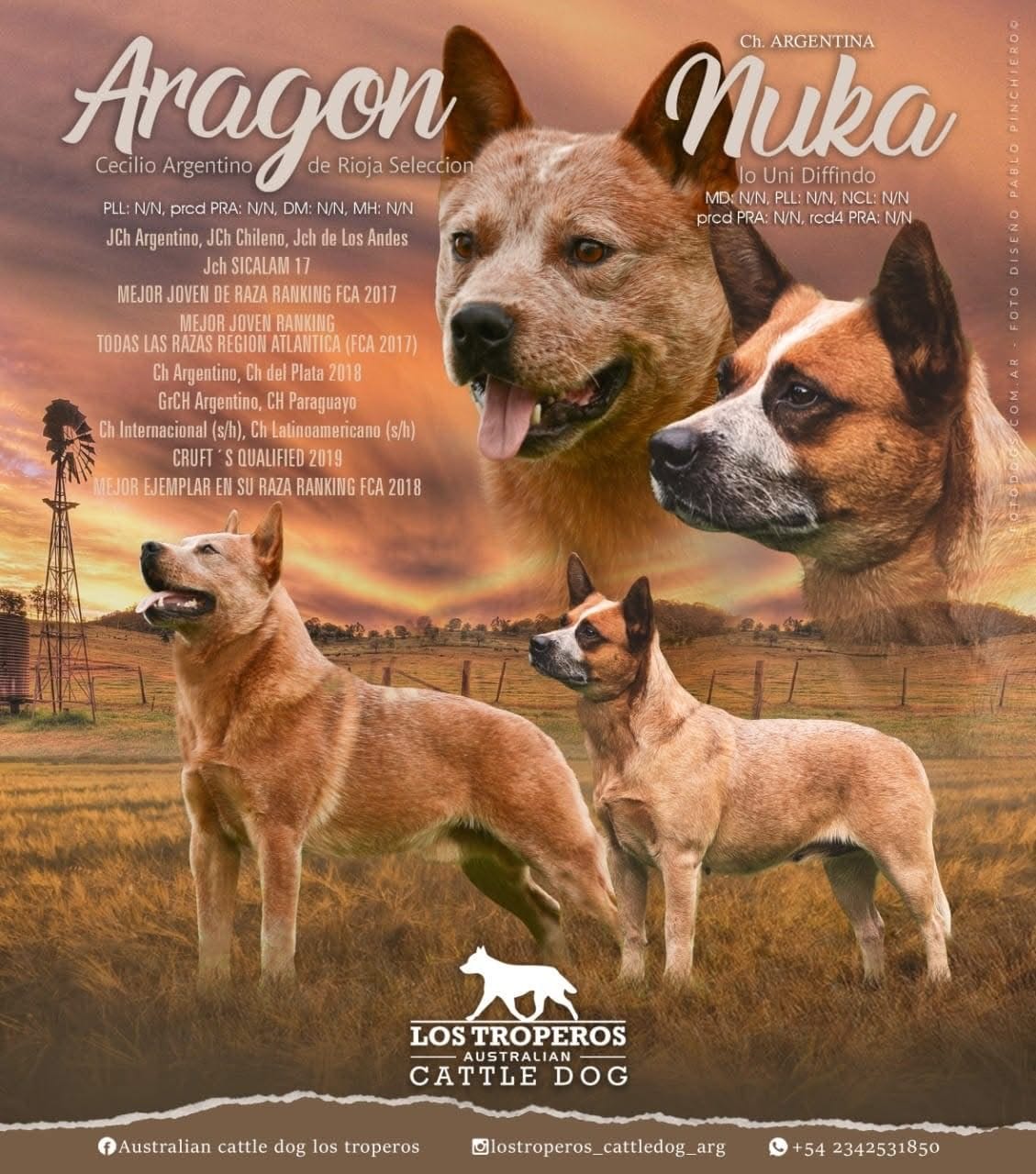 Flyer cruce Aragon x Nuka