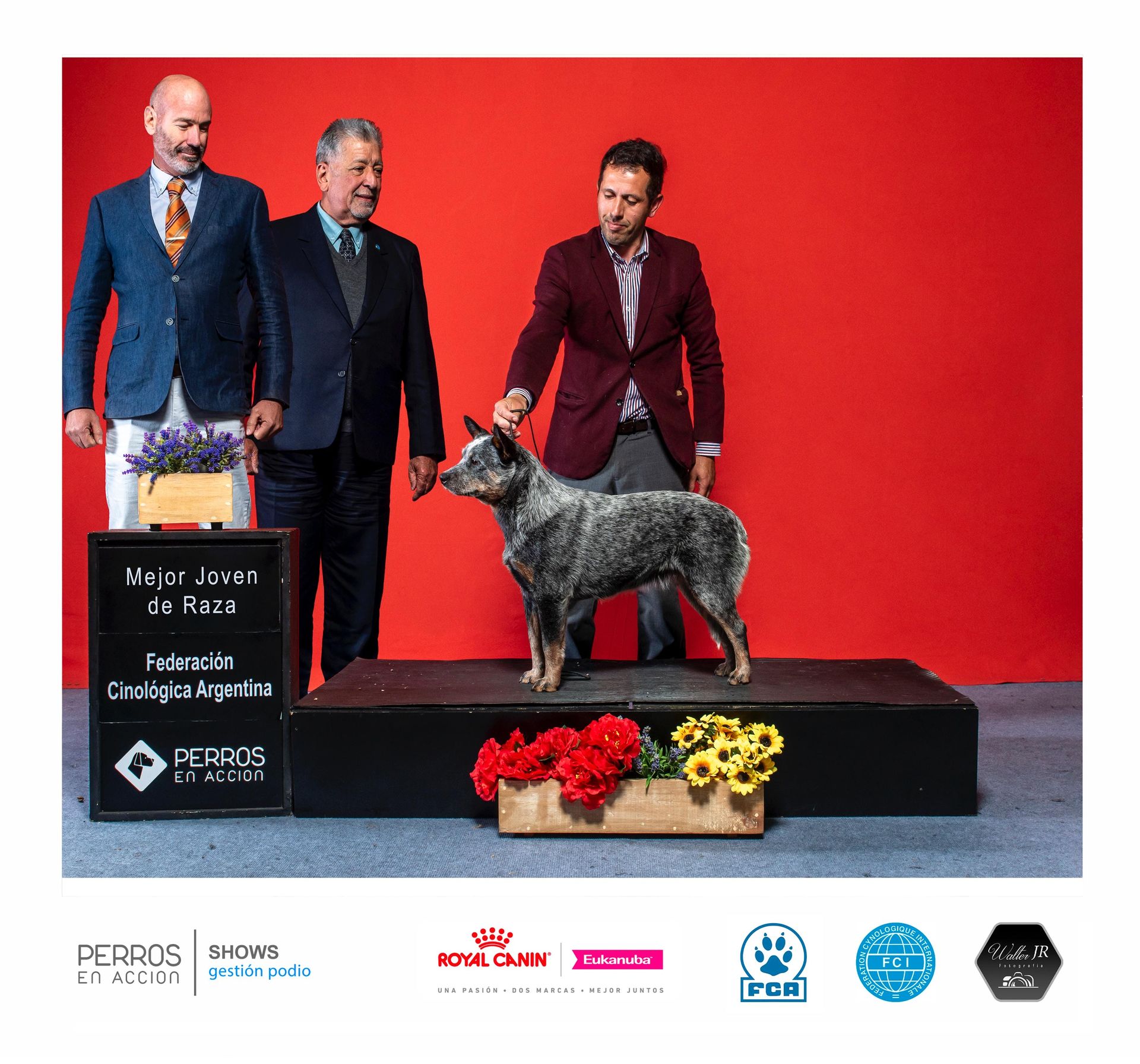 Mejor joven de raza FCA