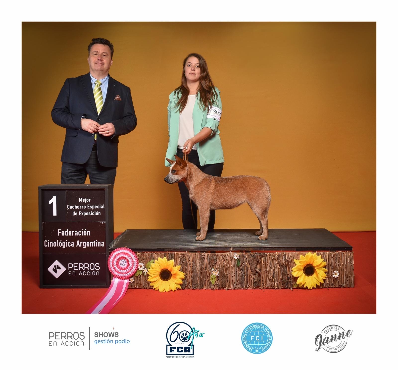 1ro mejor cachorro especial de exposición FCA
