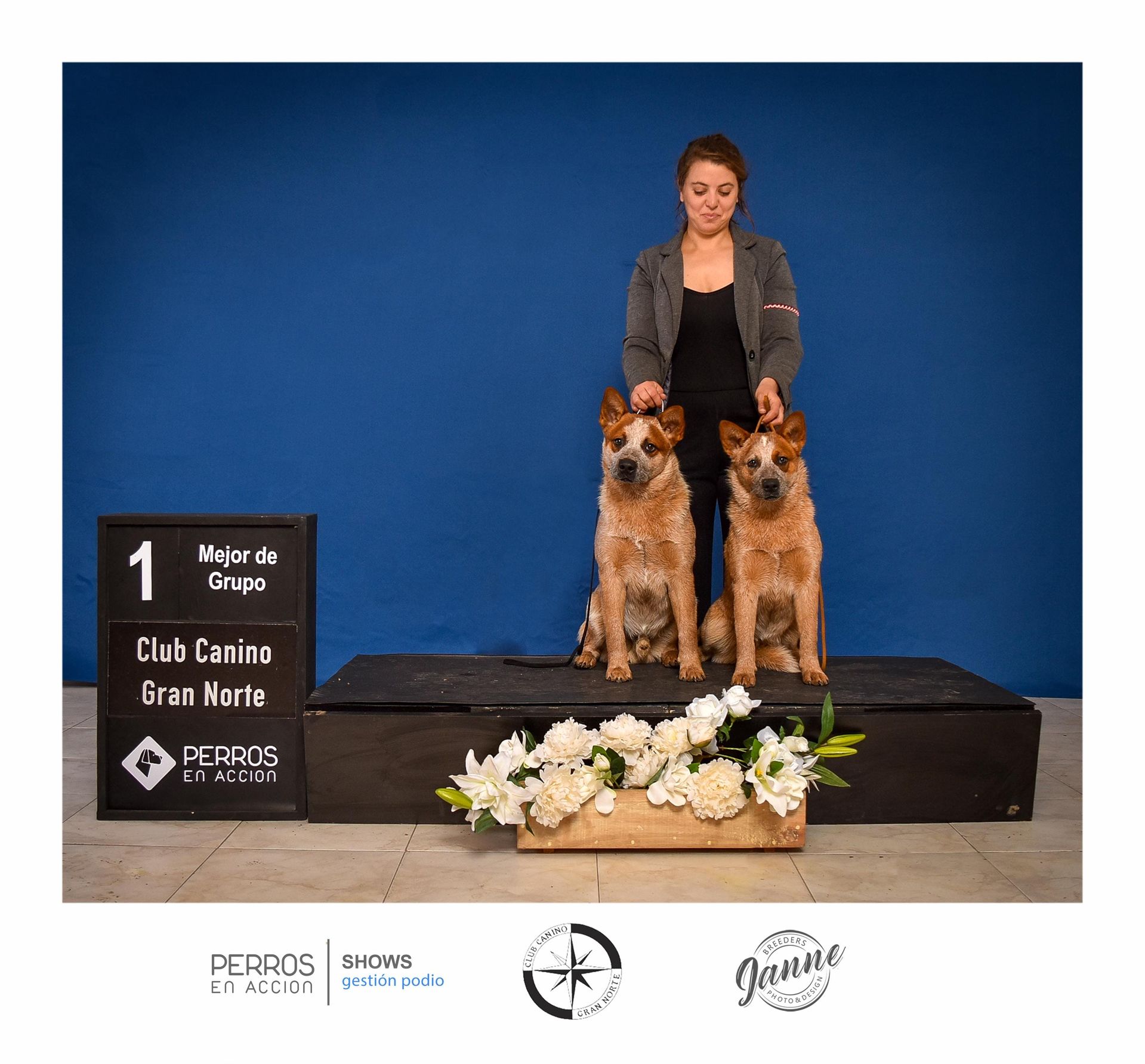 1ro mejor de grupo club canino Gran Norte