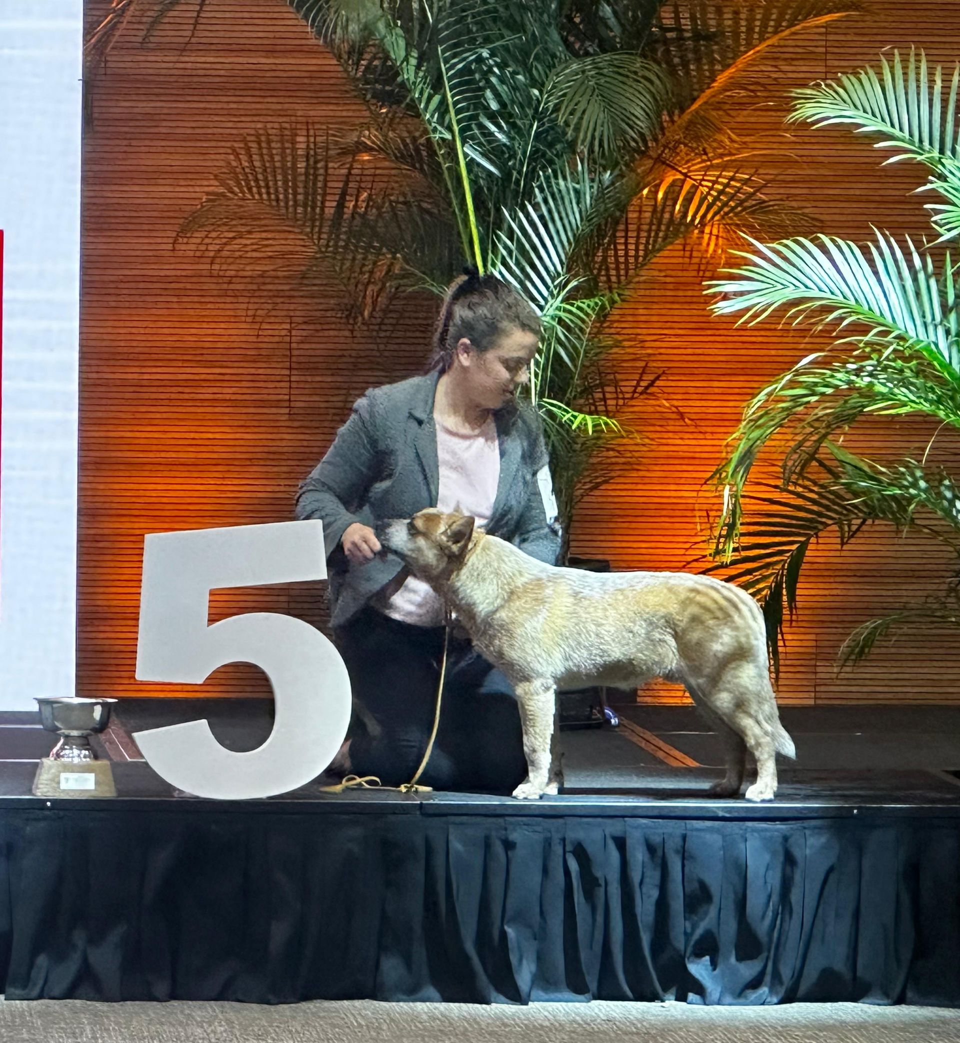 5to podio evento ranking