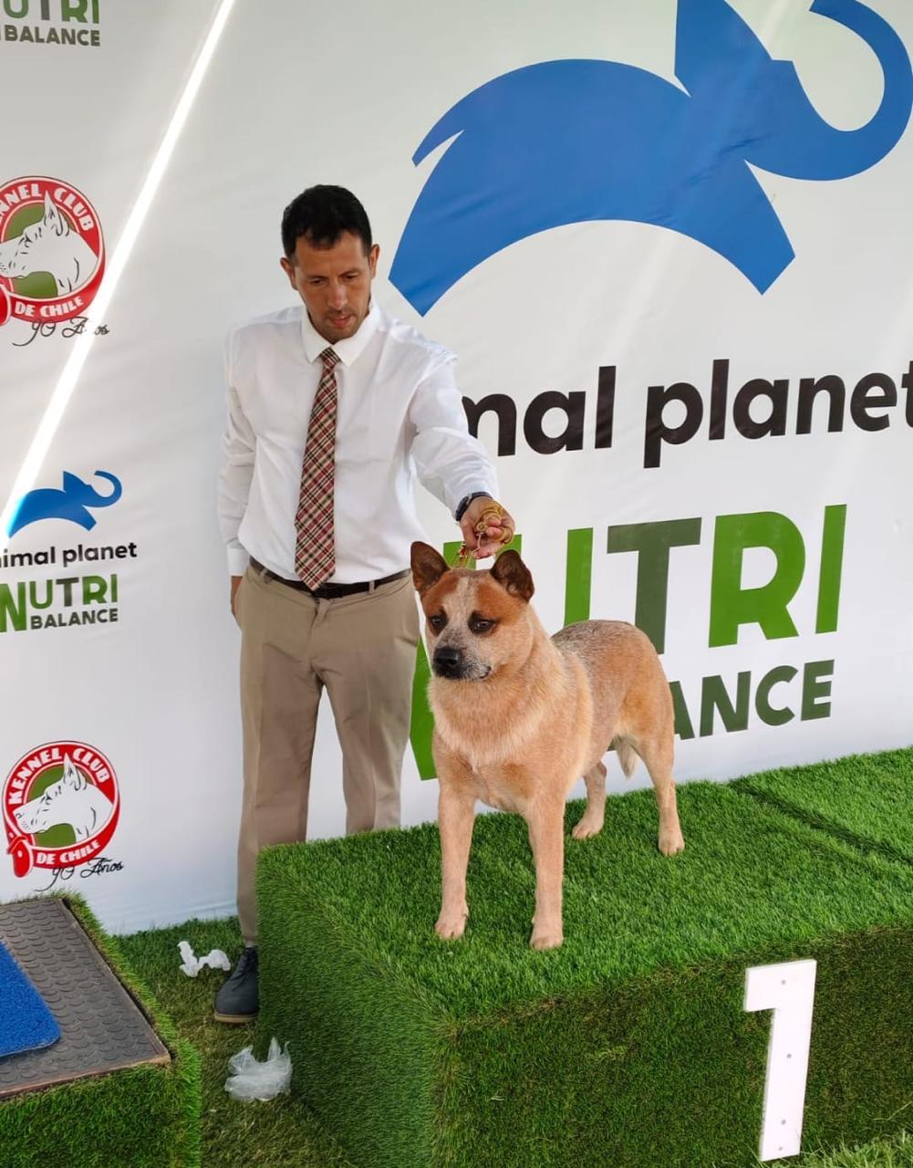 1ro podio kennel club Chile