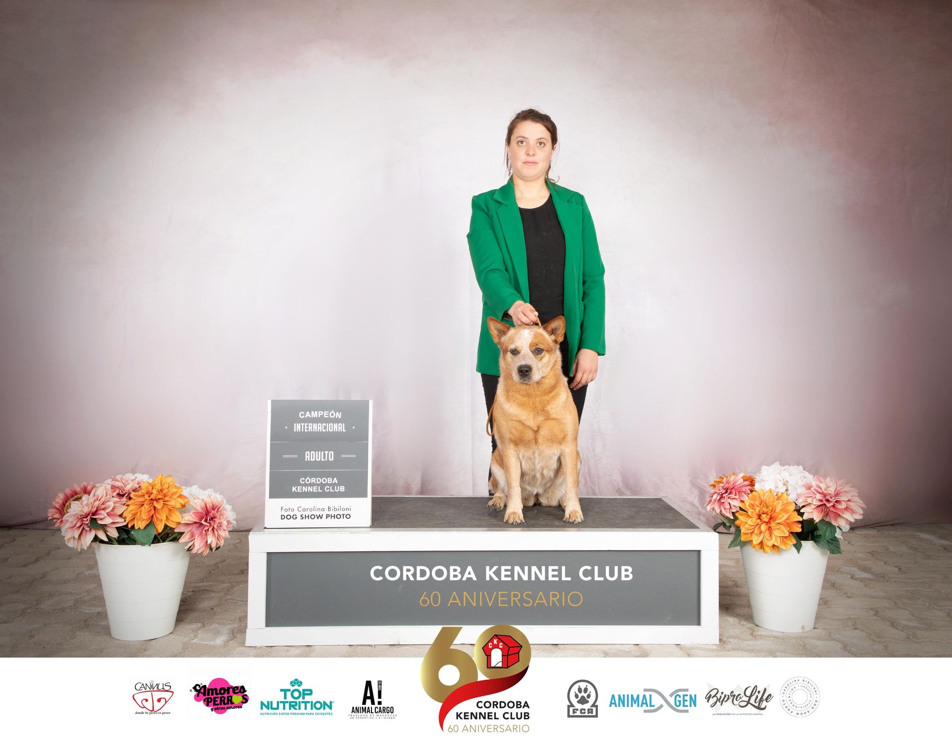Campeón internacional adulto Cordoba Kennel Club 60 aniversario