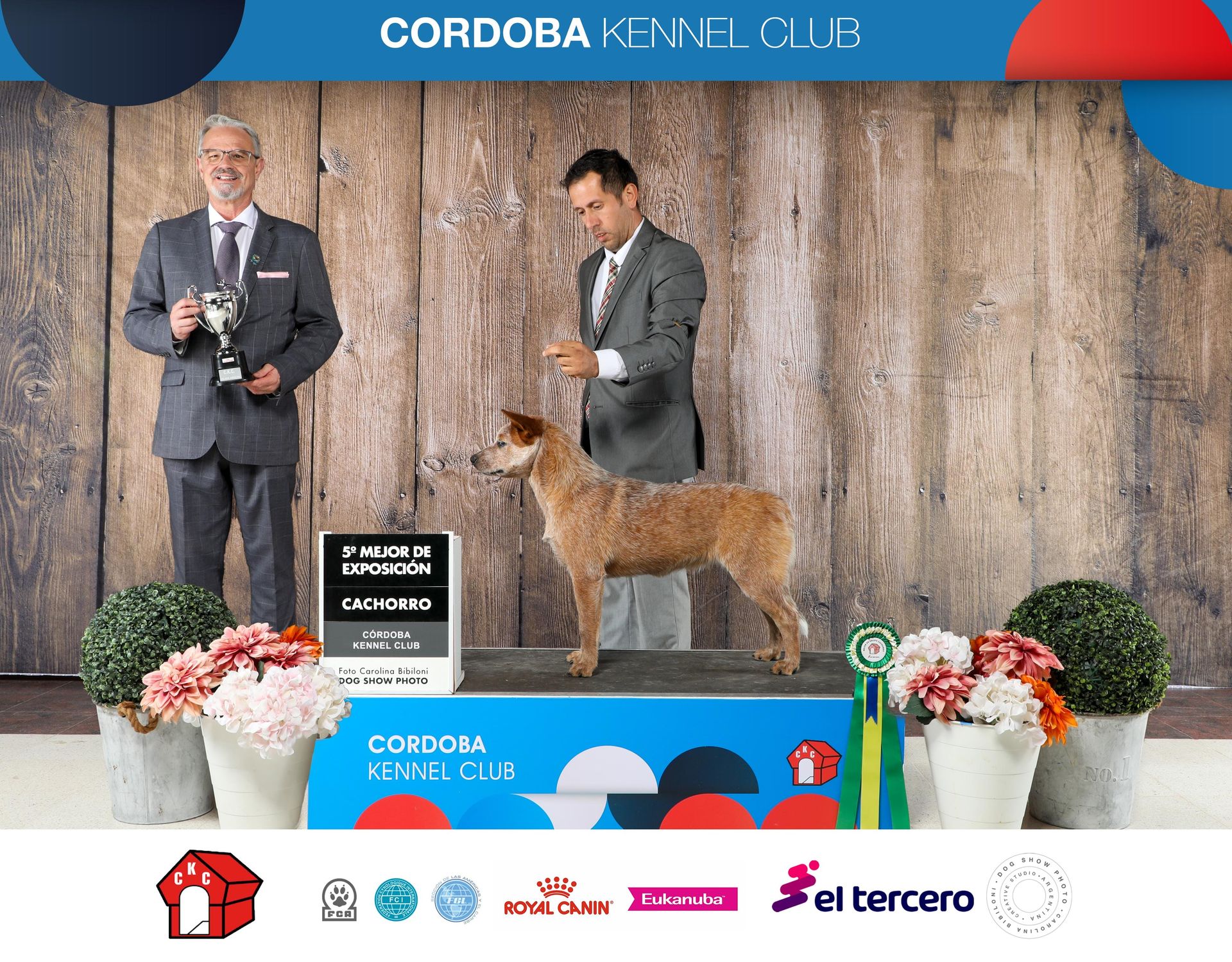 5to mejor exposición cachorro Cordoba Kennel Club