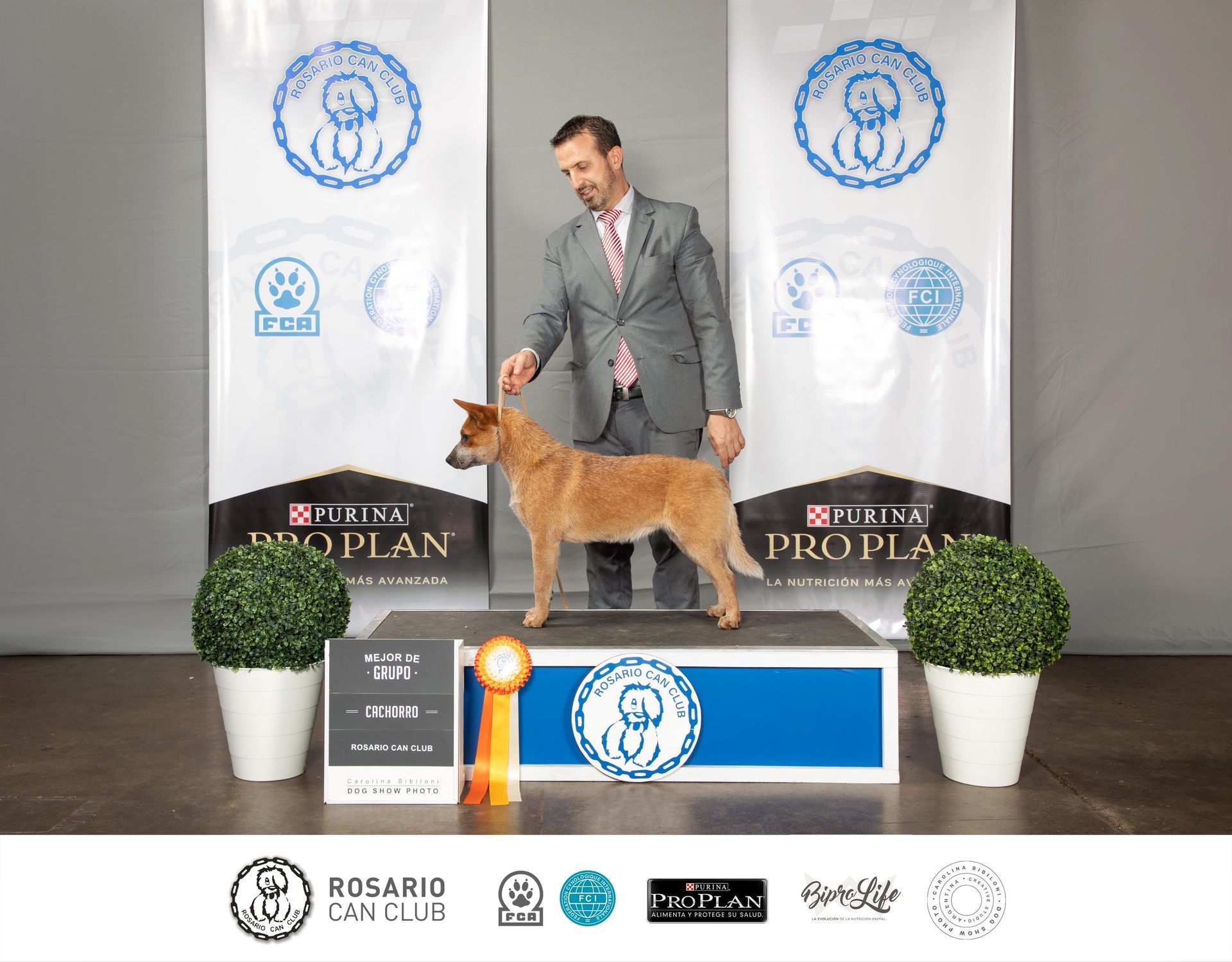Mejor de grupo cachorro Rosario Can Club
