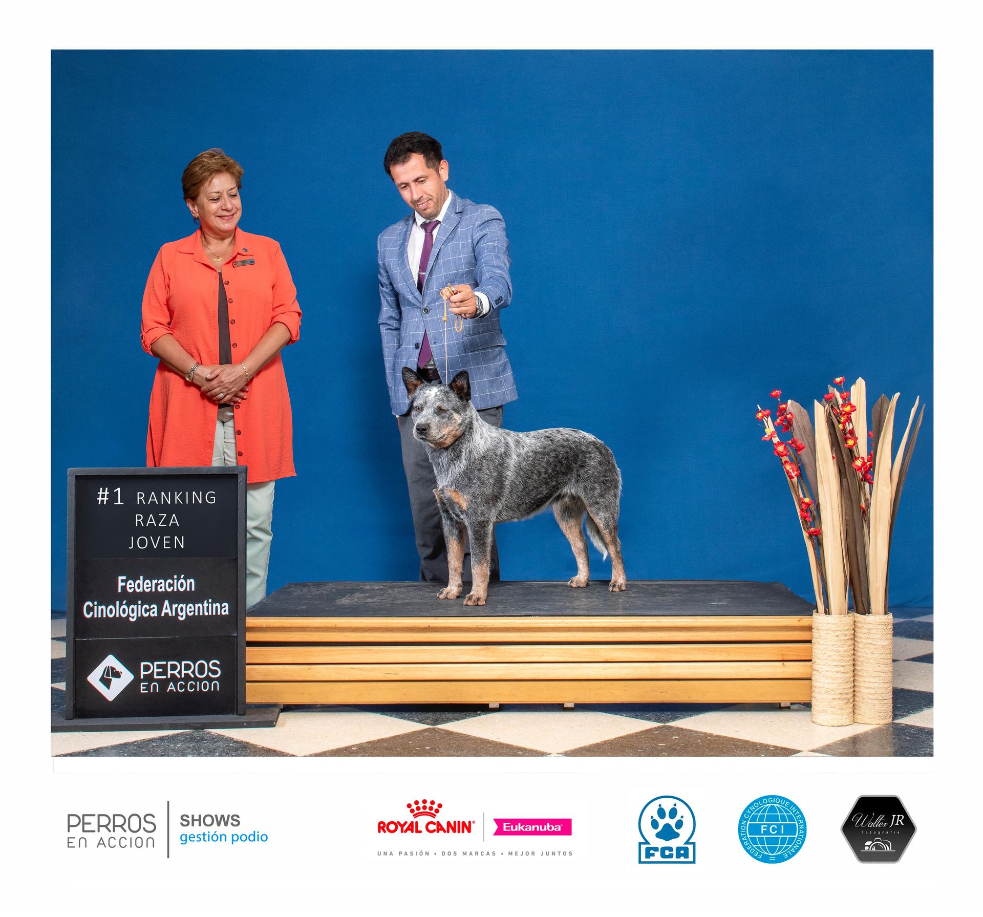1ro Raza Joven FCA