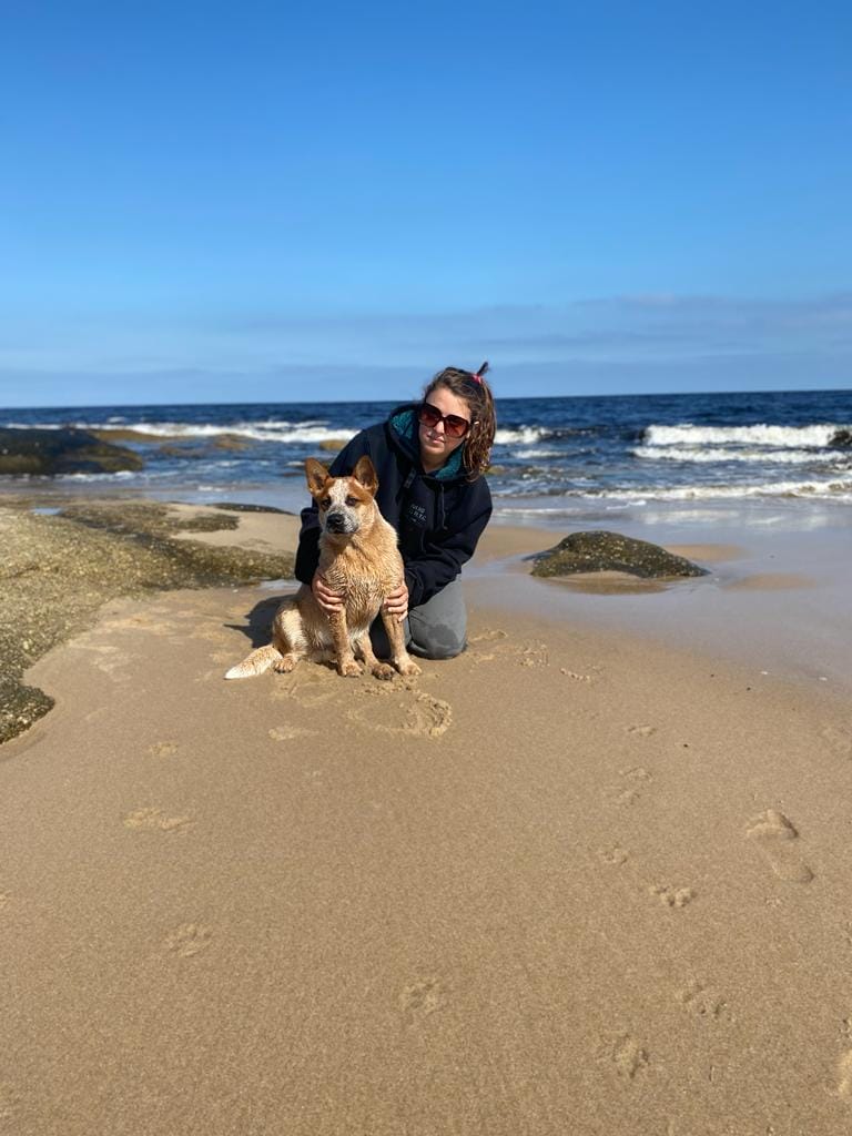 Escándalo de los Troperos