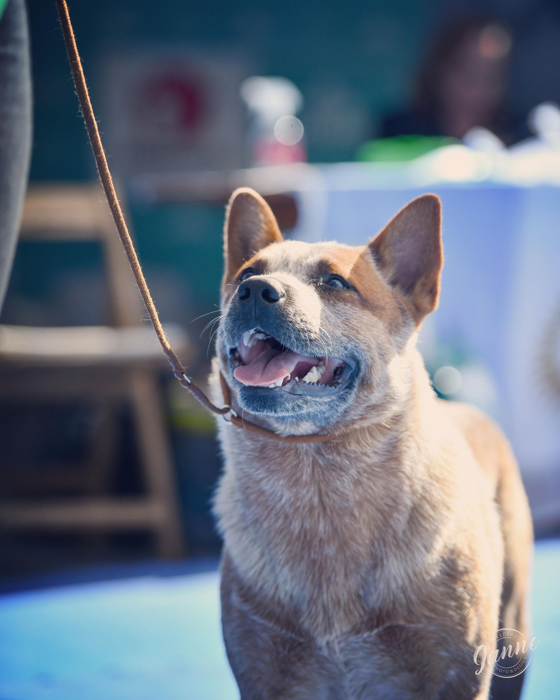 Escándalo de los Troperos
