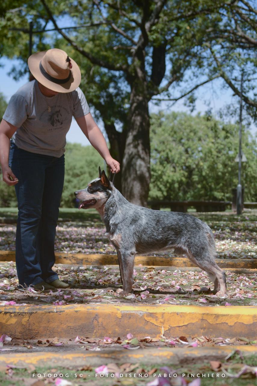 A Moment of Luck 'Mangangá'