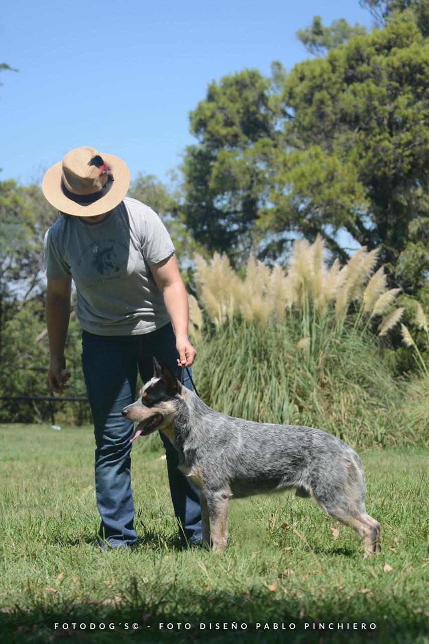 A Moment of Luck 'Mangangá'