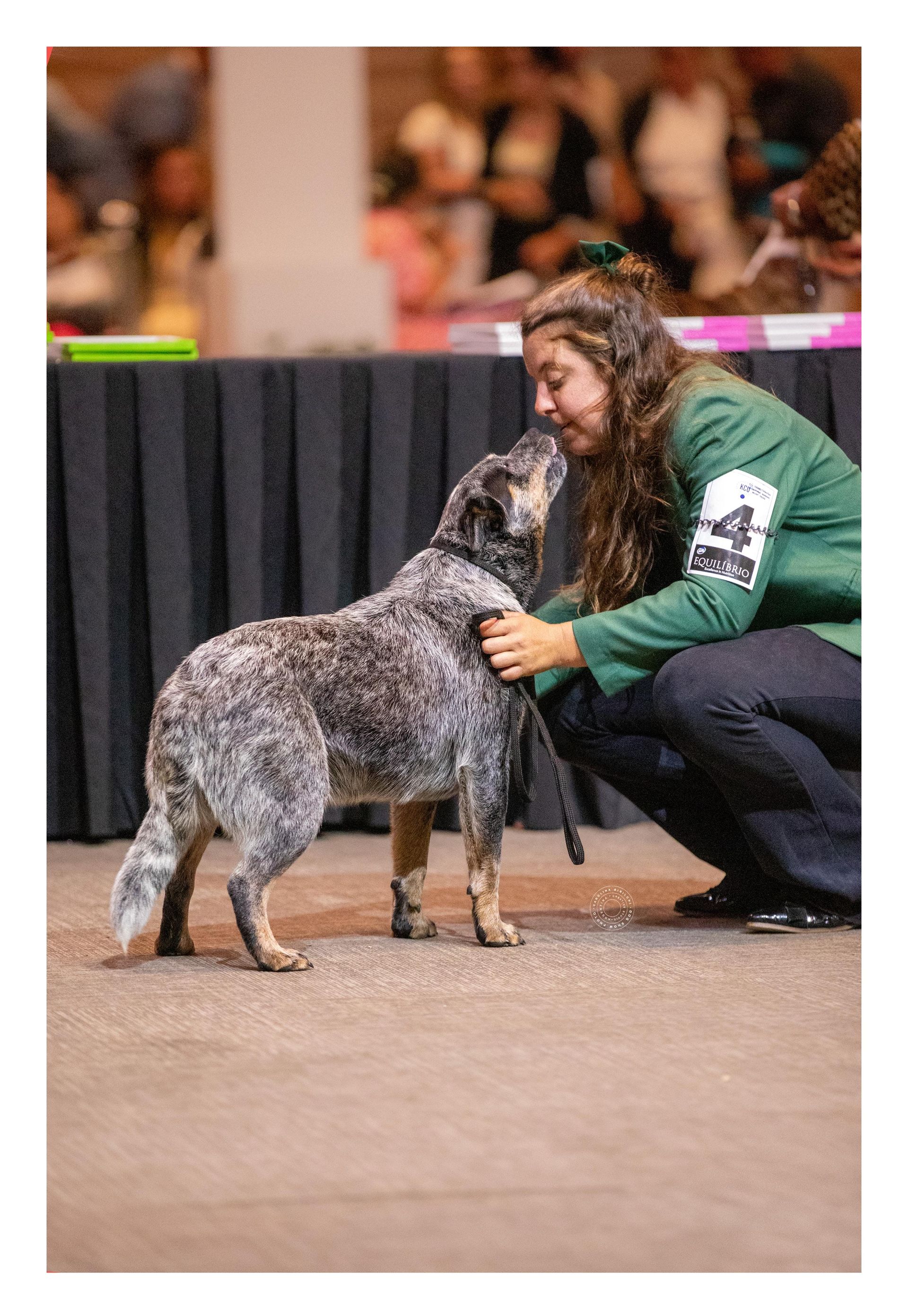 Taura de los Troperos