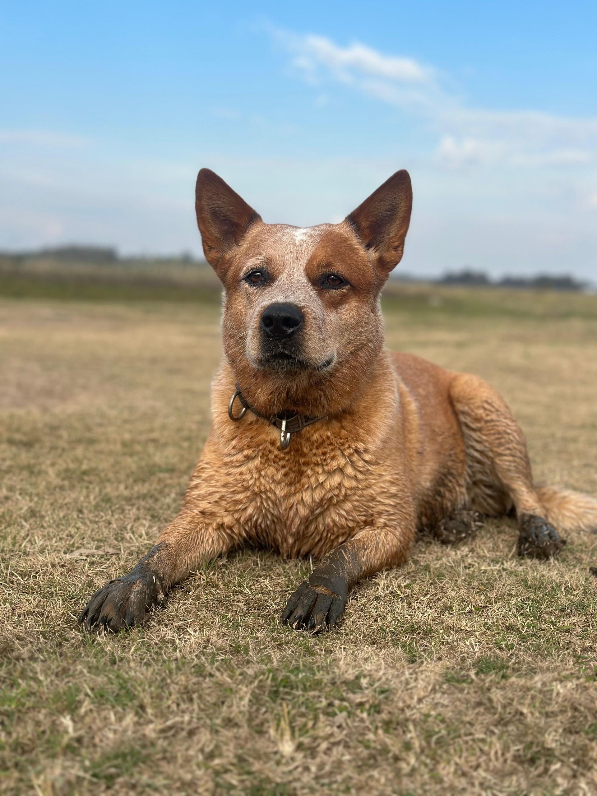 Yapa de los Troperos