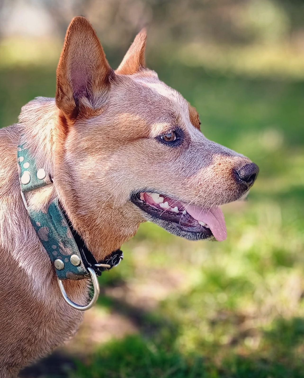 Yapa de los Troperos