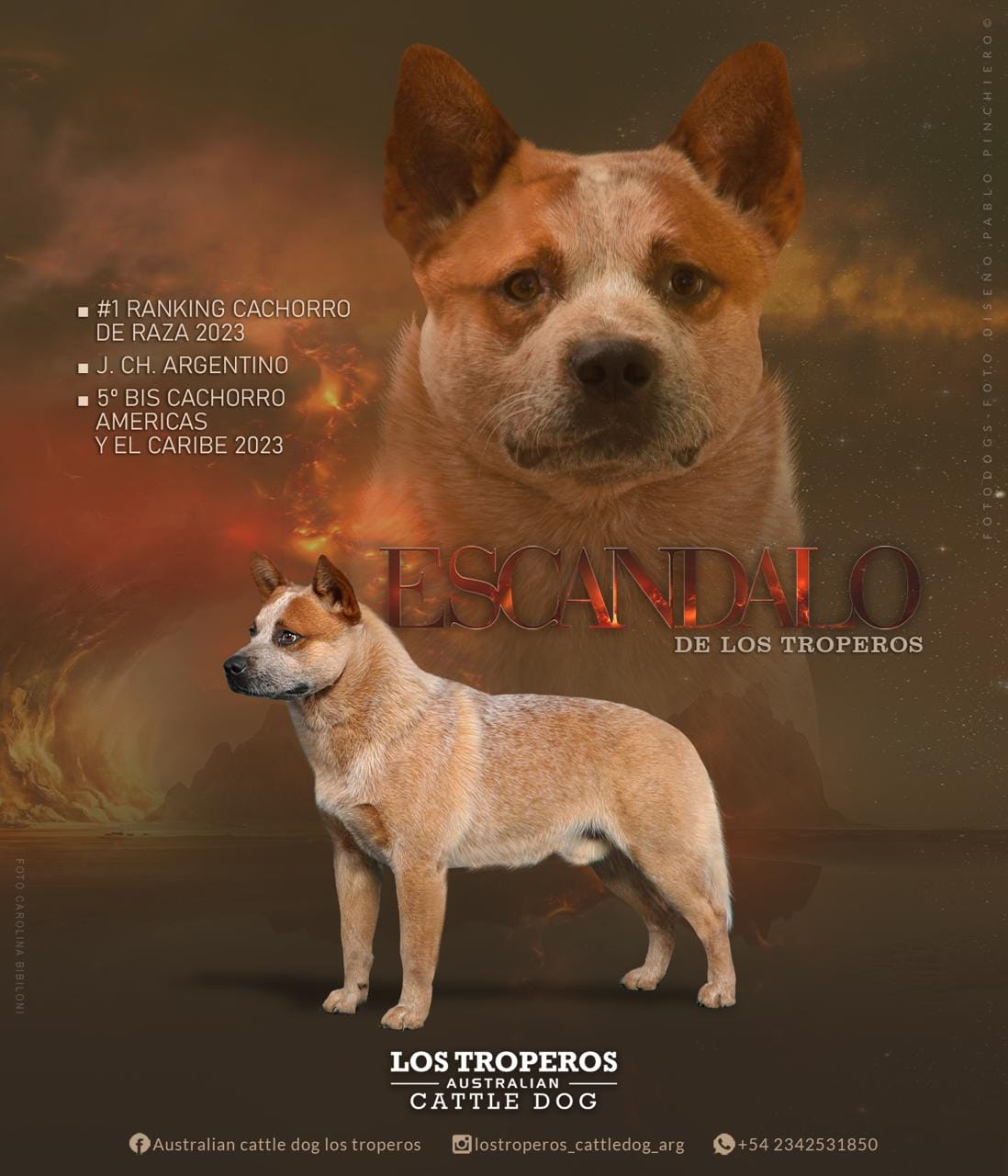 Escándalo - Ranking 2023