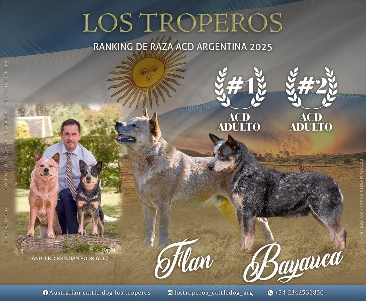 Flan y Bayauca - Ranking 2025