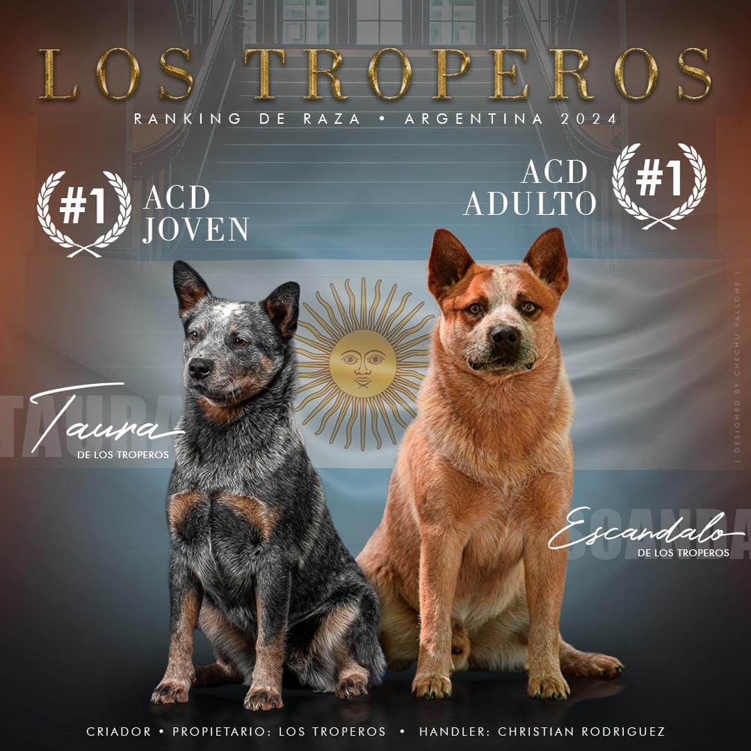 Escándalo y Taura - Ranking 2024