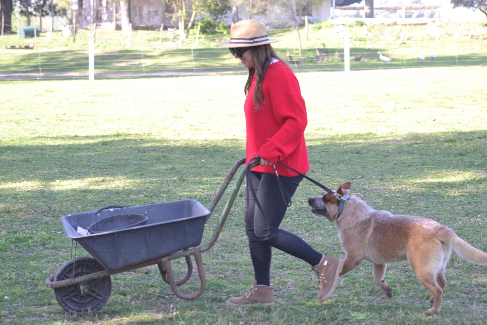 Escándalo prueba de granja 13