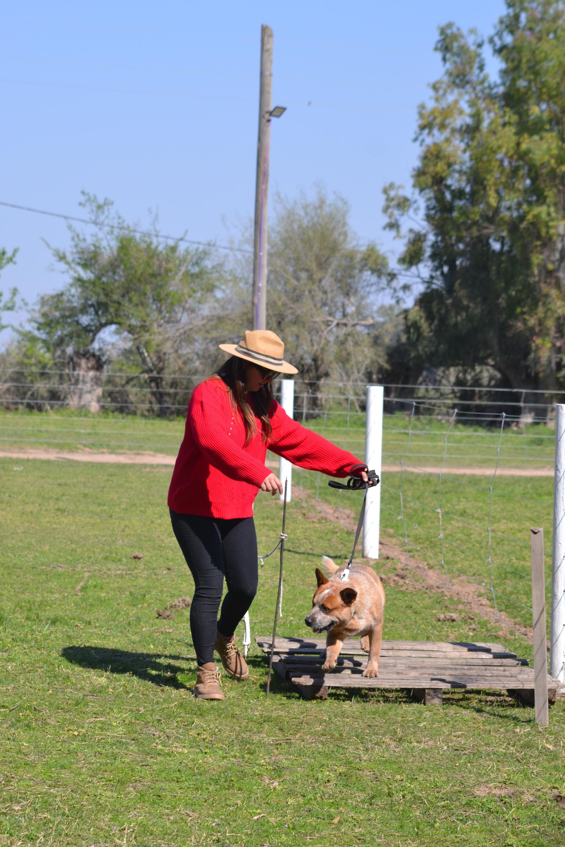 Escándalo prueba de granja 14
